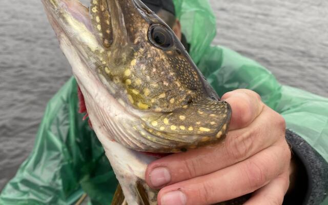 База Отдыха На Рыбалку