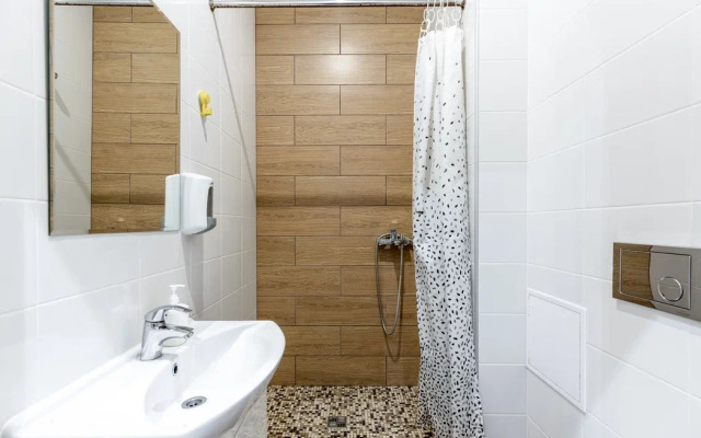 Апартаменты Букинист 233/1