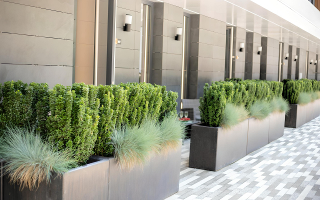 V Tsentre Sochi 10 Minut Do Morya AK Arkhitektor S Terrasoy Patio Apartaments