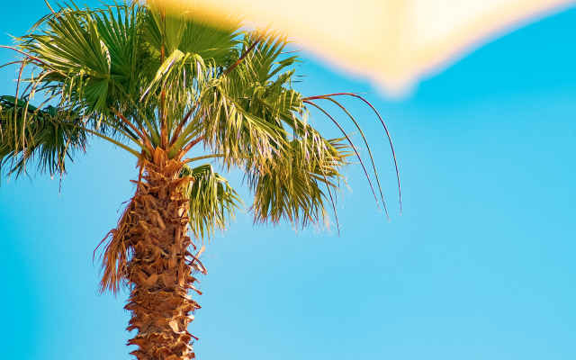 Feri Surf Club Hotel Hotel