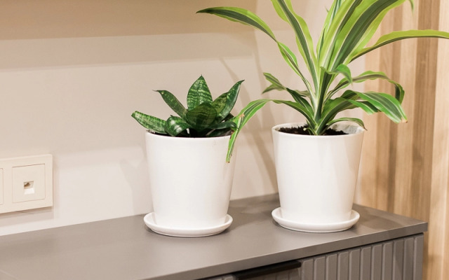 Квартира Просторная в центре Санкт-Петербурга