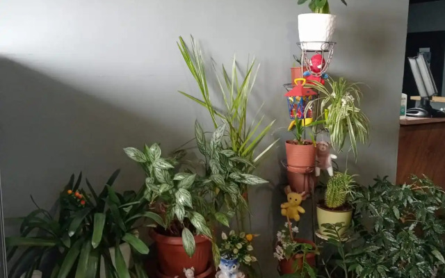 Хостел Полярник