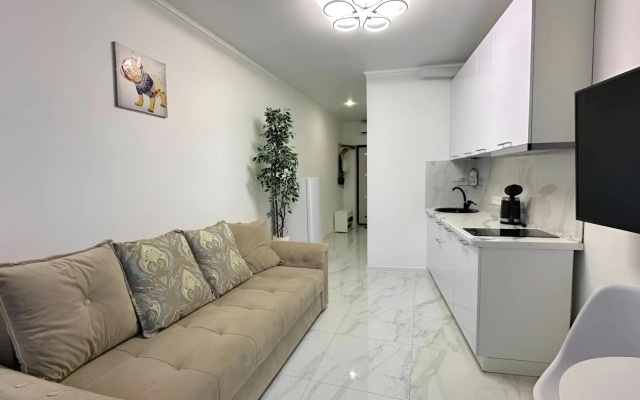 Квартира Студия на Светлане