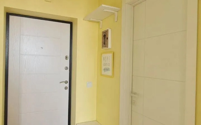 Квартира на Любови Шевцовой 51