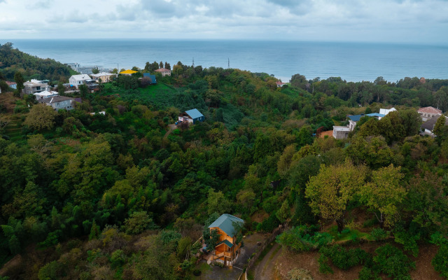 TreeHouse GoldenSeaView TreeHouse Private house