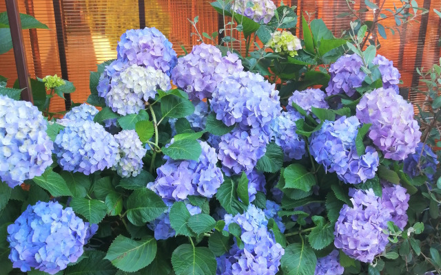 Апартаменты Как Дома 7