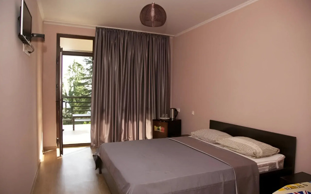 Afon Guest house