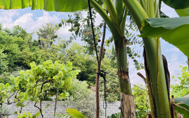 Al-Mari Guest House