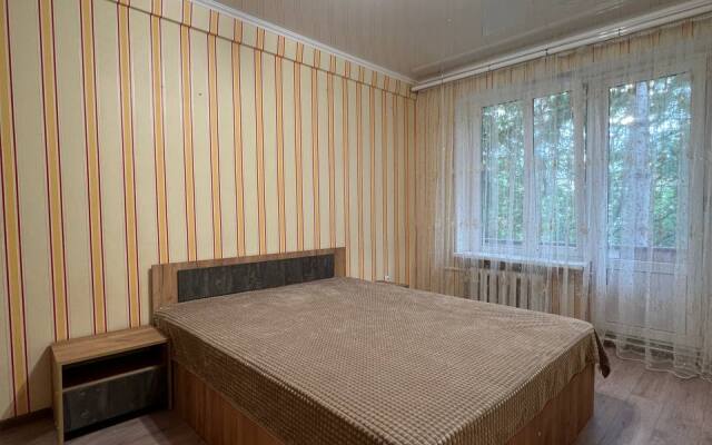 Квартира Цандера 11