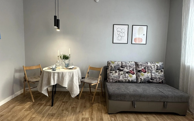 Квартира Современная студия