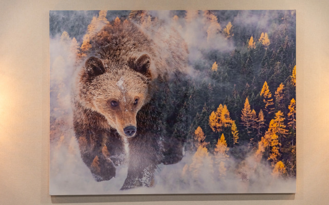 Апартаменты Лес