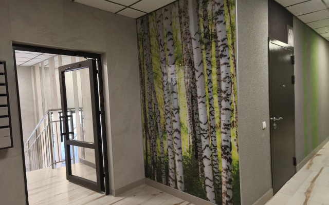 V Petrodvortsovom Rayone Flat