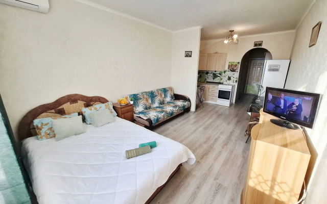 Квартира Свободная студия