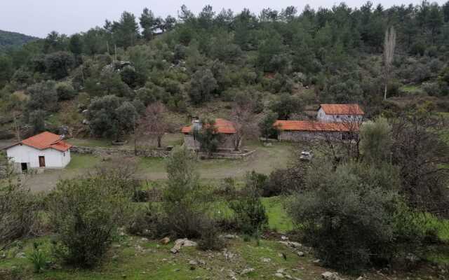 Iztuzu Homes Hotel