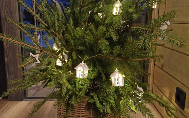 Частный дом Iris House