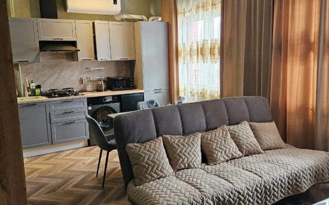 Uyutnaya Studiya V Tsentre Arkhyza Flat