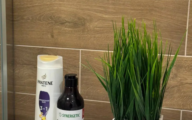 Апартаменты в Центре Ростова на Дону