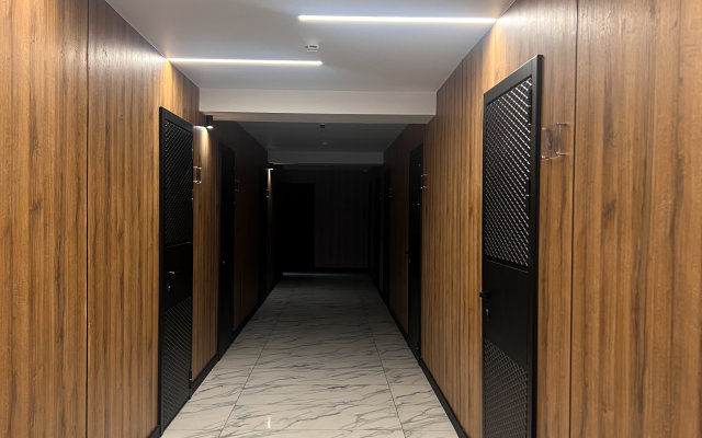 Apartment on Tolstogo