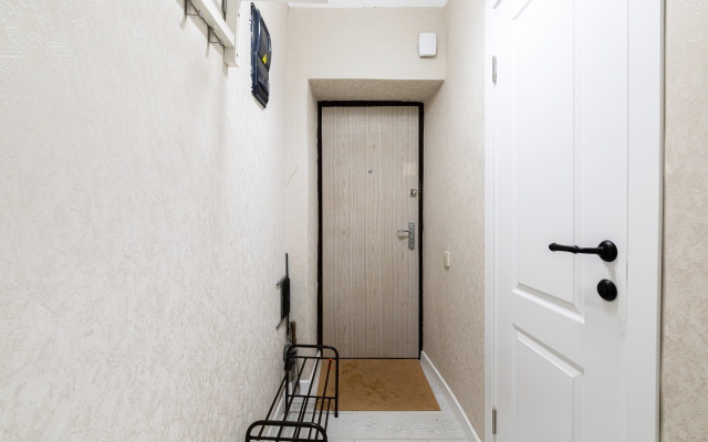 Квартира светлая 1-к в центре Казани