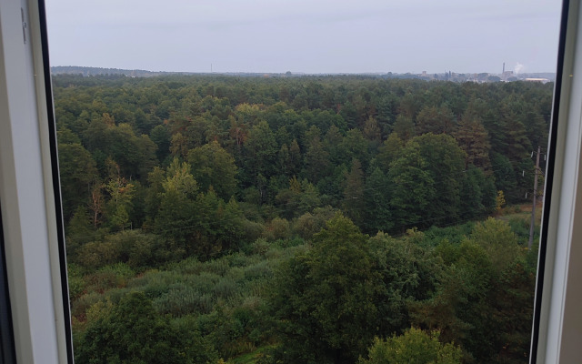 Квартира однушка как трёшка