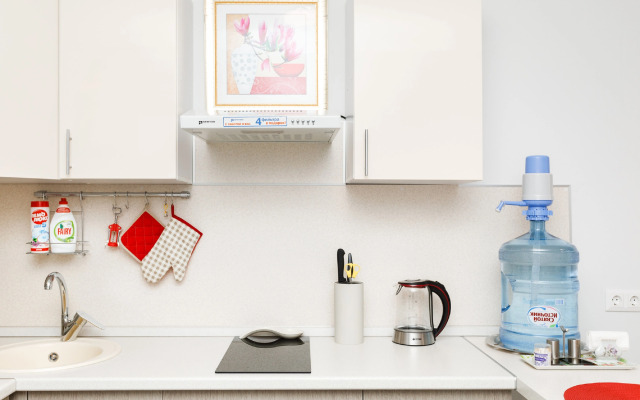 Апартаменты Radius Central House c Компанией Домашний Уют 1