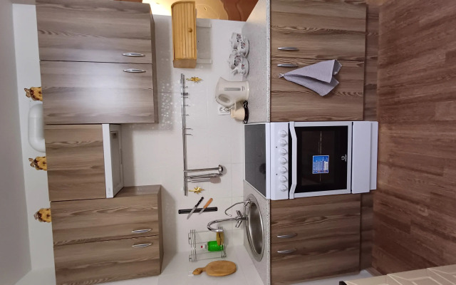Studiya U Metro Flat