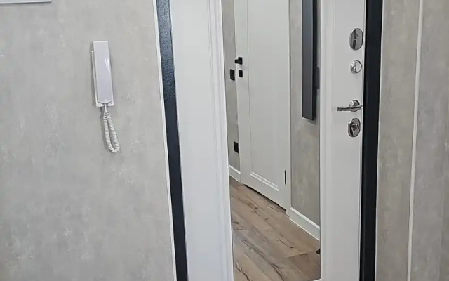 Odnokomnatnaya Flat