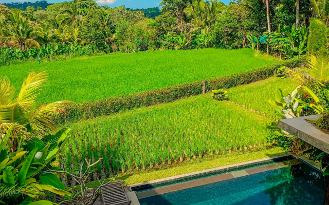 Dukuh Villa