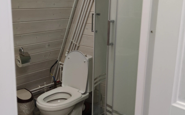 Частный дом Пряня