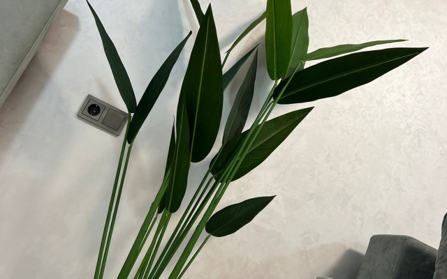 Vzmorye 3 Apartments