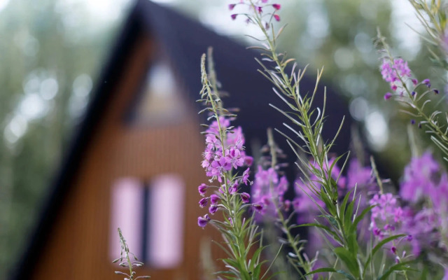 Шале Бо.Кэмп Дом Художника