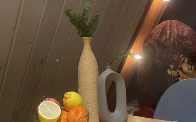 Частный дом на на берегу реки Руза