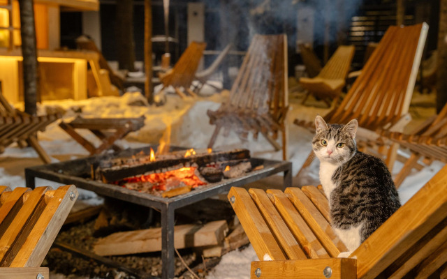 Отель Dombay Winter Hall