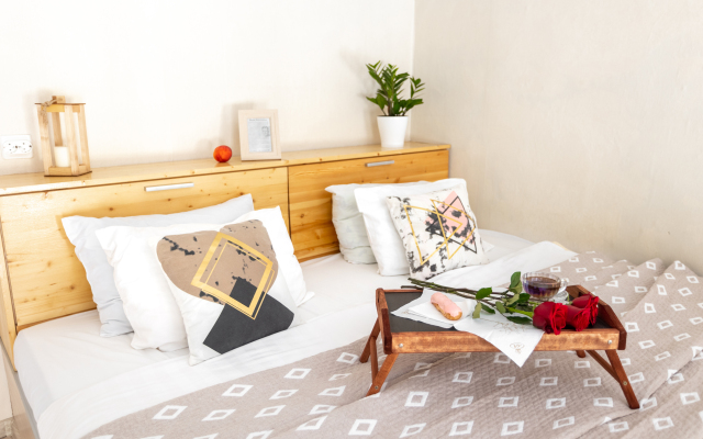 Апартаменты Гривцова 3