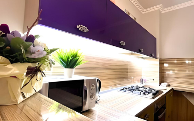 V Istoricheskom Tsentre Goroda Flat