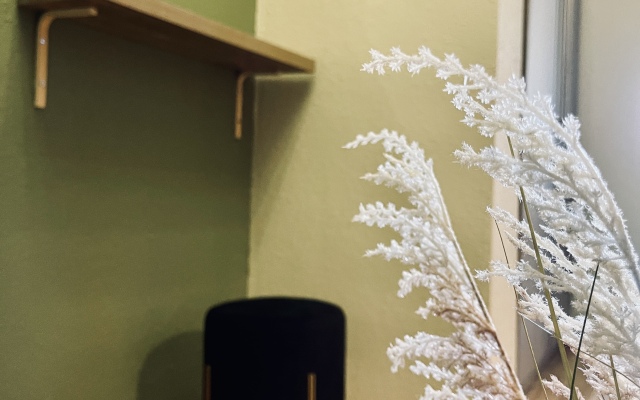 Квартира в Доме Культурного Наследия Трубящий Олень