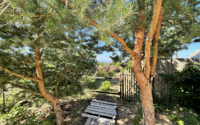 Гостевой дом Спицино 135