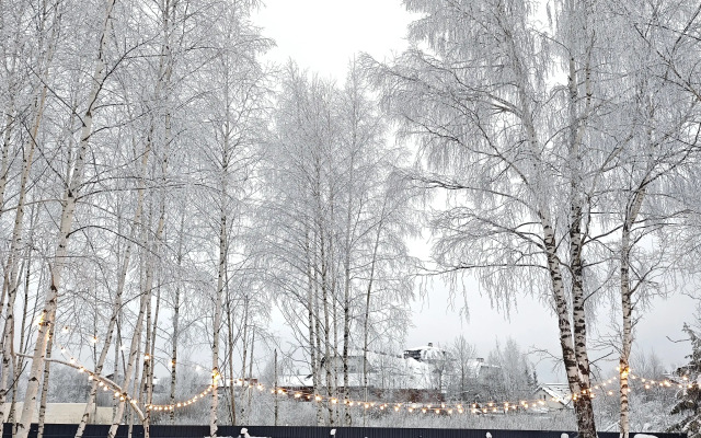 Частный дом Лесной Aframe