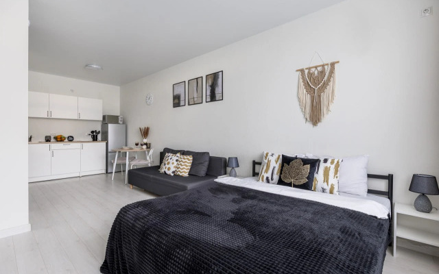 Апартаменты Черная лилия Studio ApartaMIA