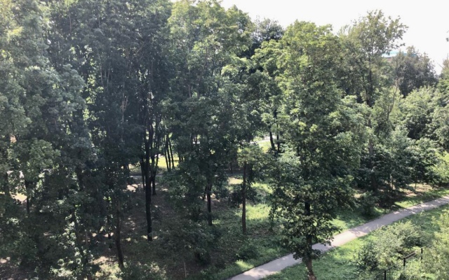 Apartamenty S Dzhakuzi I Vidom Na Park