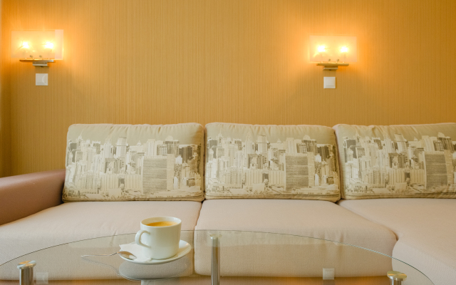Skyline Hotel Tomsk Airport hotel