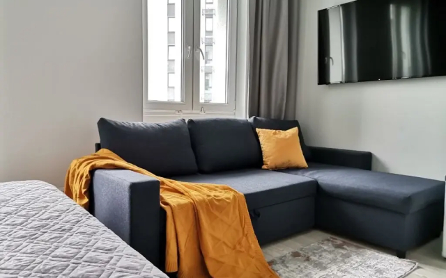 Апартаменты Северное сияние Новгородская 1 (1)