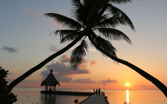 Canareef Resort Maldives