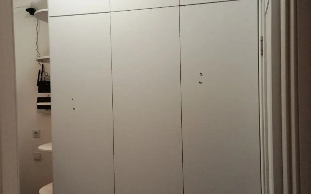 Studiya Pervaya Na Neve V Gorode Pervykh Flat