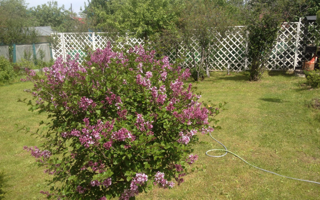 Частный дом Дачный