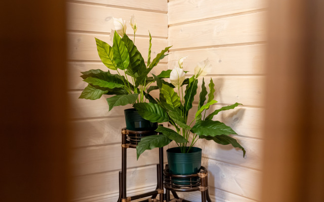 Шале СкайЭль