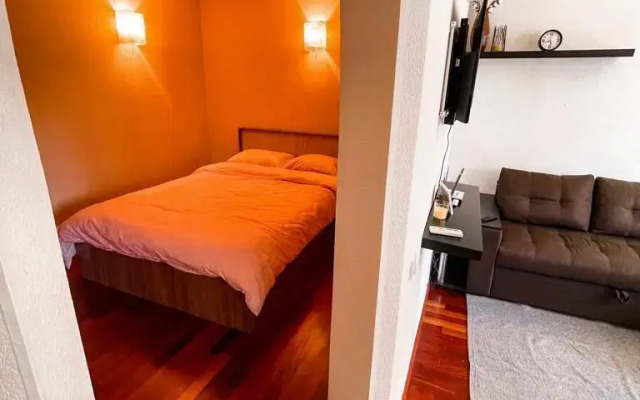 Квартира Пушкинская 227