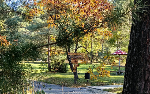 Recreation camp Park Polyanka