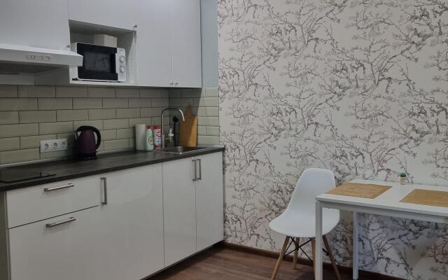 Studiya U Mechnikova Apartments