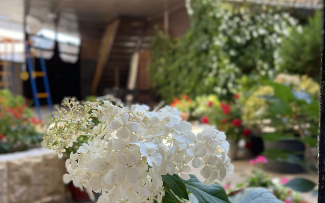 Allegro Home Guest House